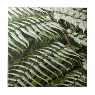 Azulejo De Cerâmica Fern Fronds II Dark Green Nature