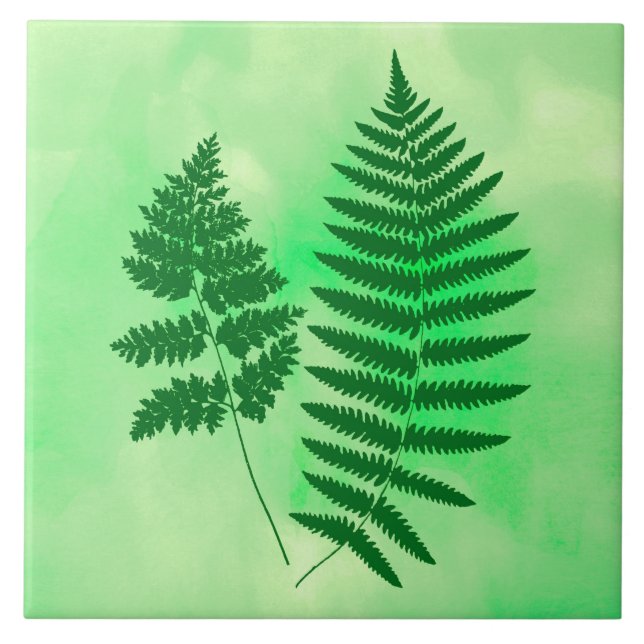 Azulejo De Cerâmica Fern Fronds, Verde em Fundo de Aquarela (Frente)