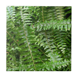 Azulejo De Cerâmica Fern Fronte I Green Nature