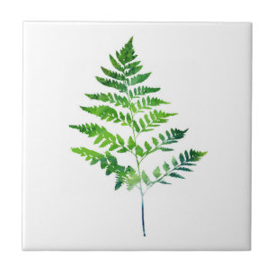 Azulejo De Cerâmica Fern Leaves