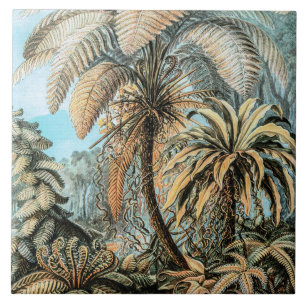 Azulejo De Cerâmica Ferns Plantas Antigas por Ernst Haeckel