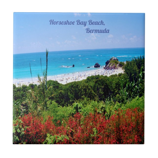 Azulejo De Cerâmica Ferradura, Bay Beach, Bermudas (Frente)