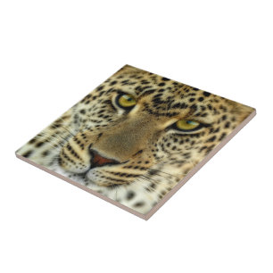 Azulejo De Cerâmica Fierce Leopard