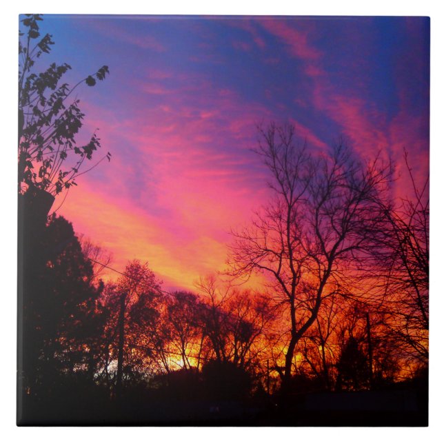 Azulejo De Cerâmica Fiery Sunset através das Árvores (Frente)