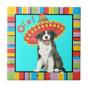 Azulejo De Cerâmica Fiesta Border Collie