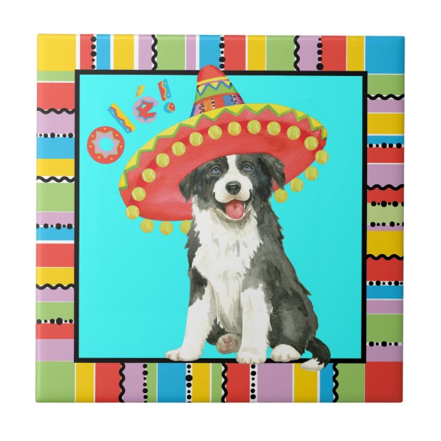 Azulejo De Cerâmica Fiesta Border Collie (Frente)