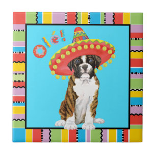 Azulejo De Cerâmica Fiesta Boxer