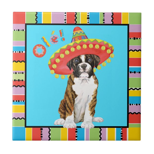 Azulejo De Cerâmica Fiesta Boxer (Frente)