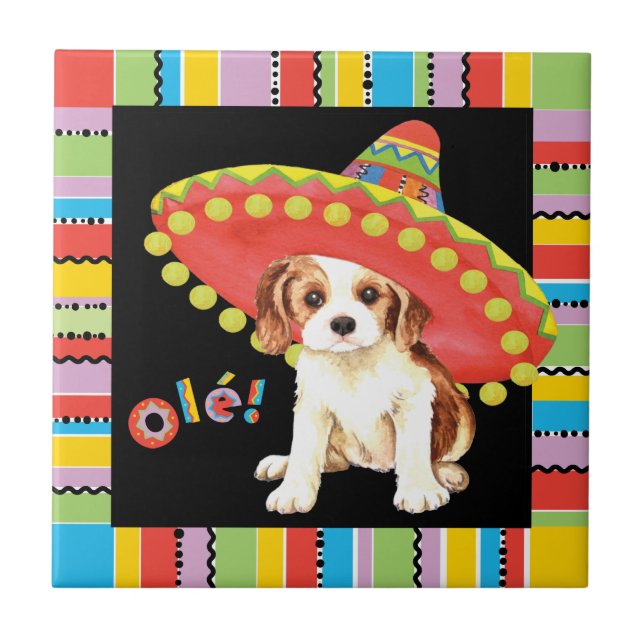 Azulejo De Cerâmica Fiesta Cavalier (Frente)