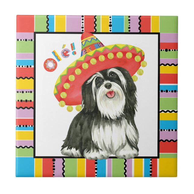 Azulejo De Cerâmica Fiesta Havanese (Frente)