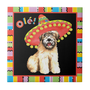 Azulejo De Cerâmica Fiesta Wheaten