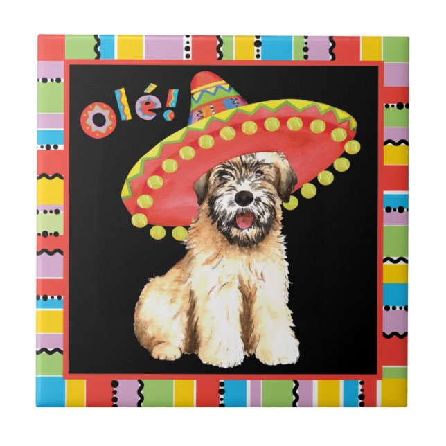 Azulejo De Cerâmica Fiesta Wheaten (Frente)