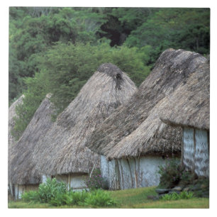 Azulejo De Cerâmica Fiji, Viti, Casas de cabanas tradicionais.