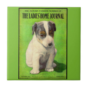 Azulejo De Cerâmica Filhote de cobrir para Diário para senhoras e sen