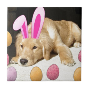 Azulejo De Cerâmica Filhote de Retriever Dourado de Páscoa