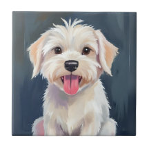 Filhote Maltês | Pintura de Cachorro Branco