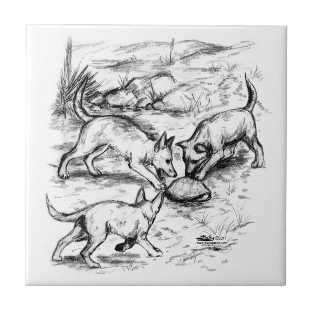 Azulejo De Cerâmica Filhotes de coiote (Frente)