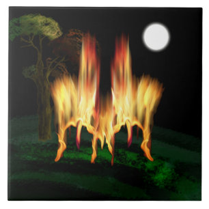 Azulejo De Cerâmica Fire Fly