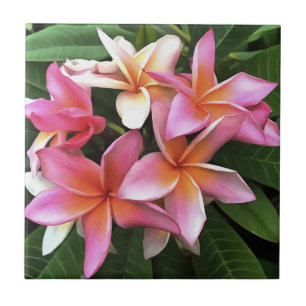Azulejo De Cerâmica Fita De Frangipani Rosa Pálido