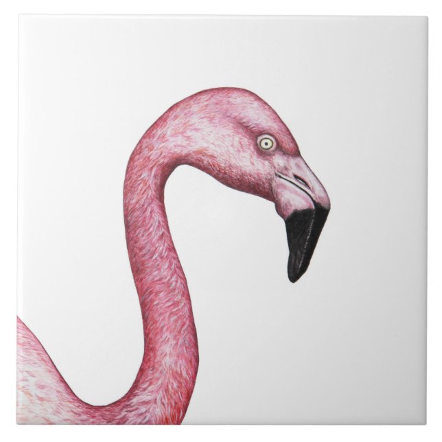 Azulejo De Cerâmica Flamingo (Frente)
