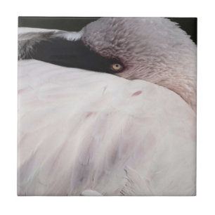 Azulejo De Cerâmica Flamingo