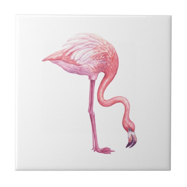 Azulejo De Cerâmica Flamingo (Frente)