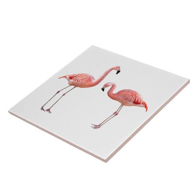 Azulejo De Cerâmica “flamingo”の優良製品 (Lateral)