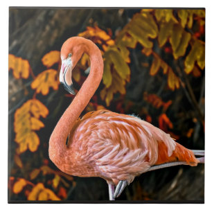Azulejo De Cerâmica Flamingo, belo pássaro andarilho