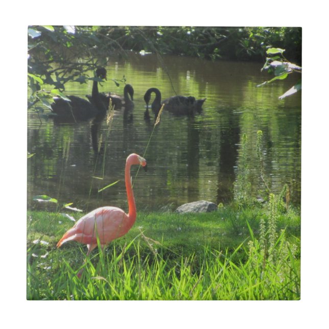 Azulejo De Cerâmica Flamingo Rosa (Frente)