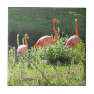Azulejo De Cerâmica Flamingos Rosa