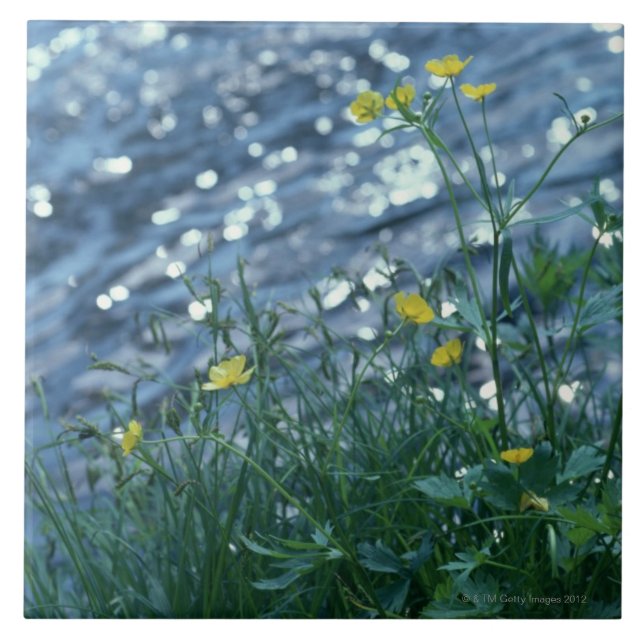 Azulejo De Cerâmica Flor (Frente)