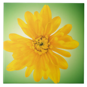 Azulejo De Cerâmica Flor amarela