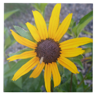 Azulejo De Cerâmica Flor amarela