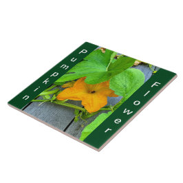 Azulejo De Cerâmica Flor amarelo da abóbora laranja na vinha