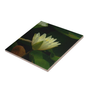 AZULEJO DE CERÂMICA "FLOR AMARELO PÁLIDO" TILE/TRIVET CERÂMICO DE