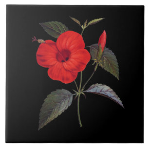 Azulejo De Cerâmica Flor bonito Red Hibiscus