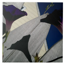 Azulejo De Cerâmica Flor da corriola