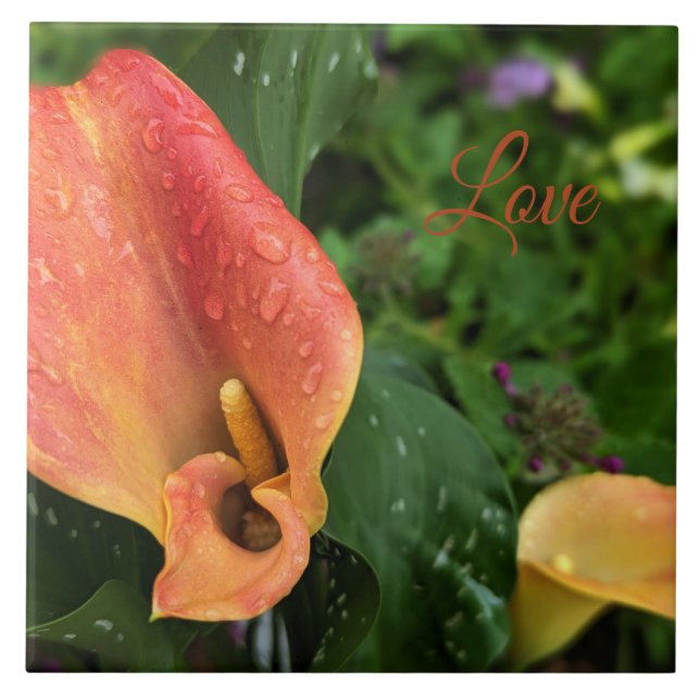 Azulejo De Cerâmica Flor da Manhã (Frente)