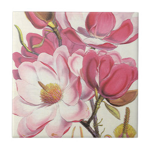 Azulejo De Cerâmica Flor de Árvore Magnólia Vintage, Flores de Jardim 