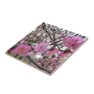 Azulejo De Cerâmica Flor de cereja rosa / Sakura / サ ク ラ(桜)