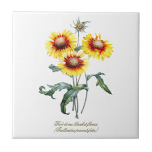 Azulejo De Cerâmica Flor de Cobertura Botânica Elegante