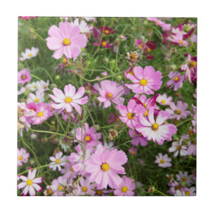 Azulejo De Cerâmica Flor de Cosmos (Bidens Formosa). Kirkwood