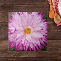 Flor de Dália Rosa