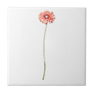 Azulejo De Cerâmica Flor de Gerbera Vermelha clara