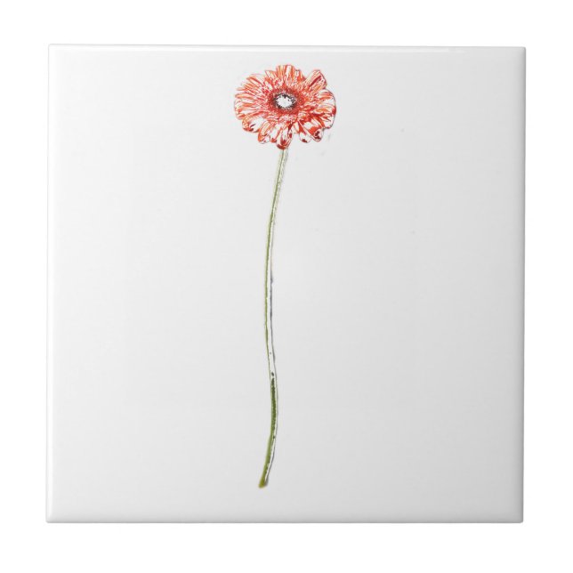 Azulejo De Cerâmica Flor de Gerbera Vermelha clara (Frente)