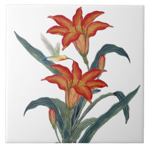 Azulejo De Cerâmica Flor de Hemerocallis Laranja Vintage Decorativa
