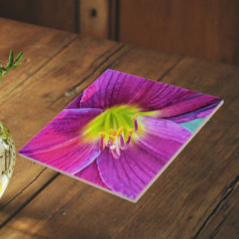 Azulejo De Cerâmica Flor de Hemerocallis Rosa