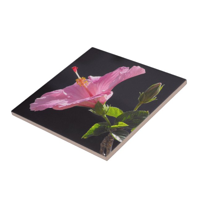 Azulejo De Cerâmica Flor de Hibisco de Perfil (Lateral)