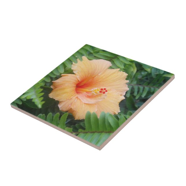 Azulejo De Cerâmica Flor de Hibisco Laranja com Samambaias (Lateral)