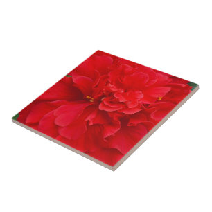 Azulejo De Cerâmica Flor de hibisco vermelho